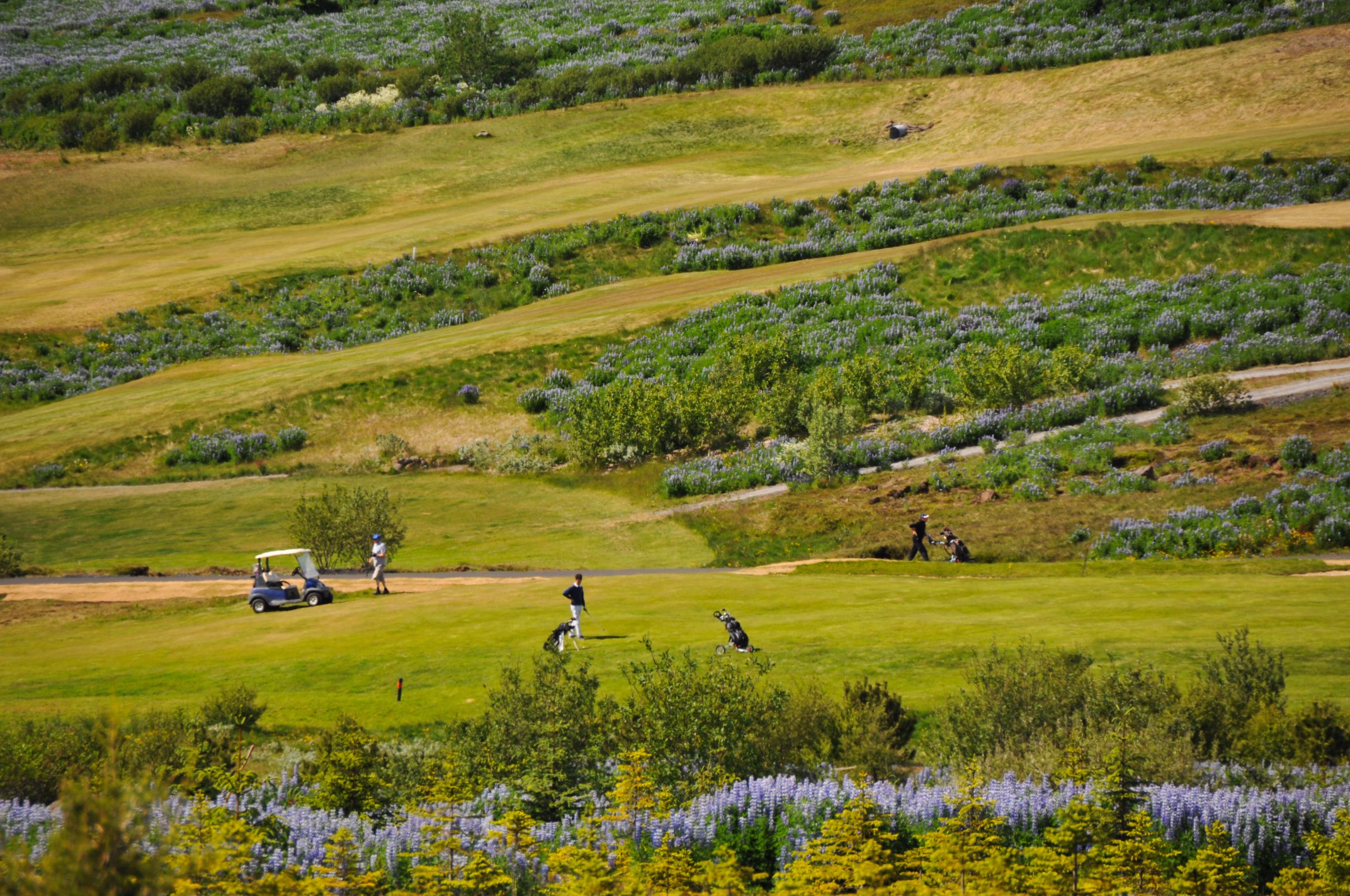 Golf in Iceland under the midnight sun